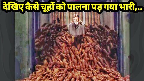 Intelligent Rats Hindi Voice Over Film Explained in Hindi Urdu Summarized हिन्दी Full Slasher