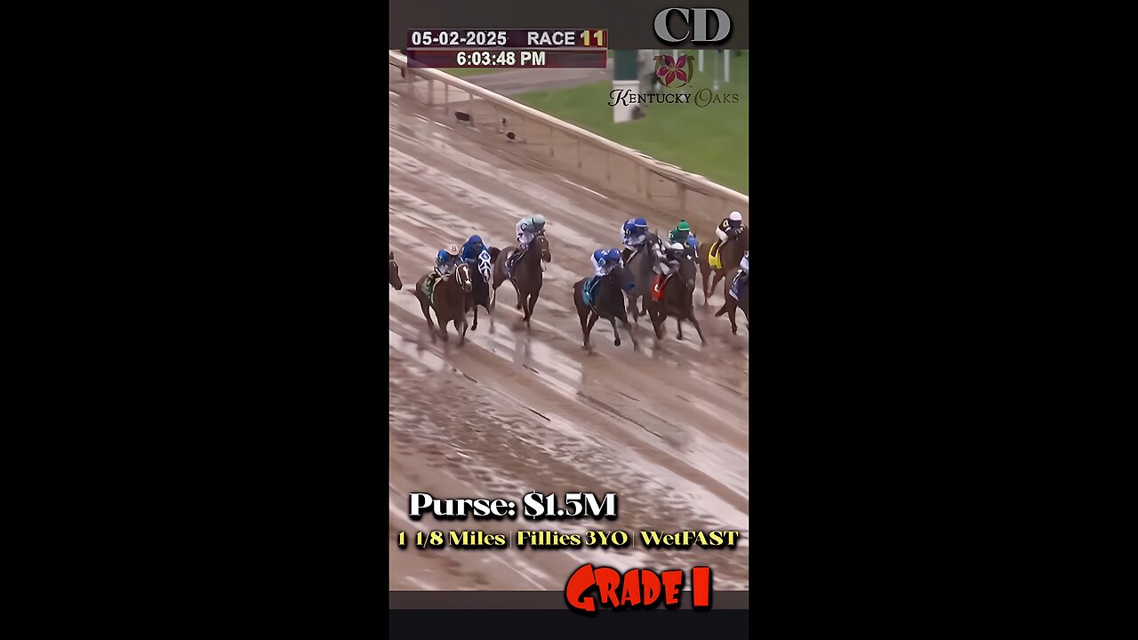 Wet Dirt in the Oaks