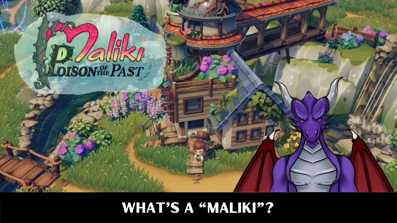 What is a Maliki?