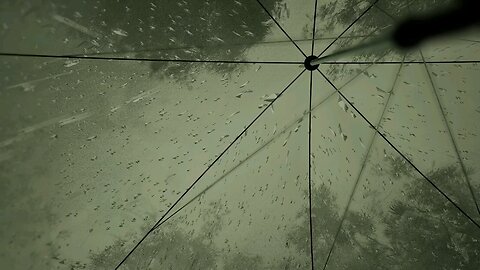 Gamuty-47 (Lushfoil: Photography Simulator- XsX)