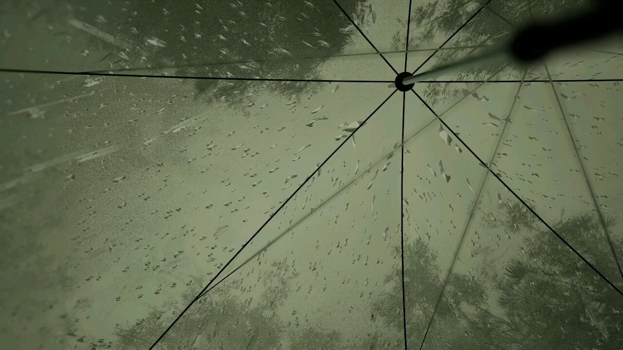 Gamuty-47 (Lushfoil: Photography Simulator- XsX)
