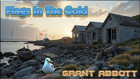 Flags In The Cold - Grant Abbott