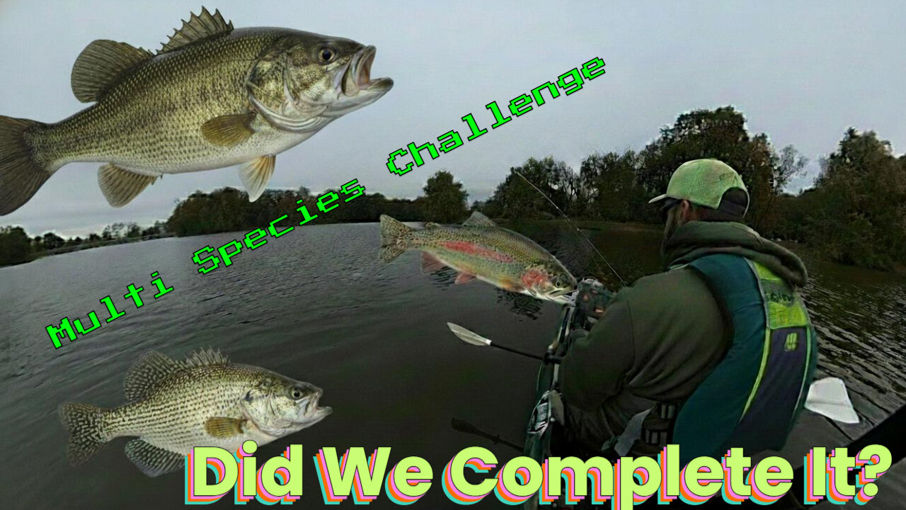 Multi Species Fishing Challenge