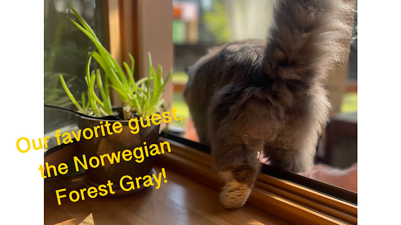 When you're the favorite at Lola's bar, but everyone is afraid of you).