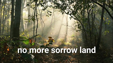 Do you live life in the light?