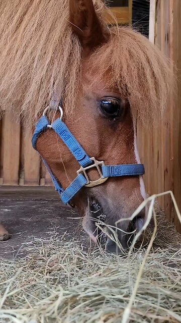 a little bite, please