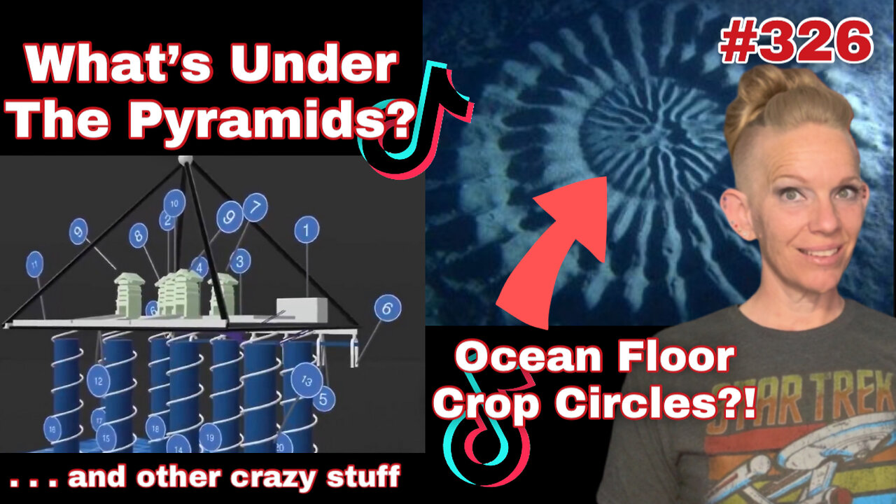 The Strangest Stuff The Internet Has To Offer