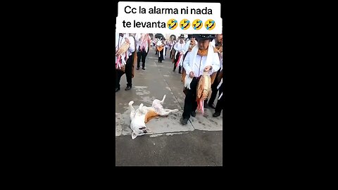 NADA TE DESPIERTA