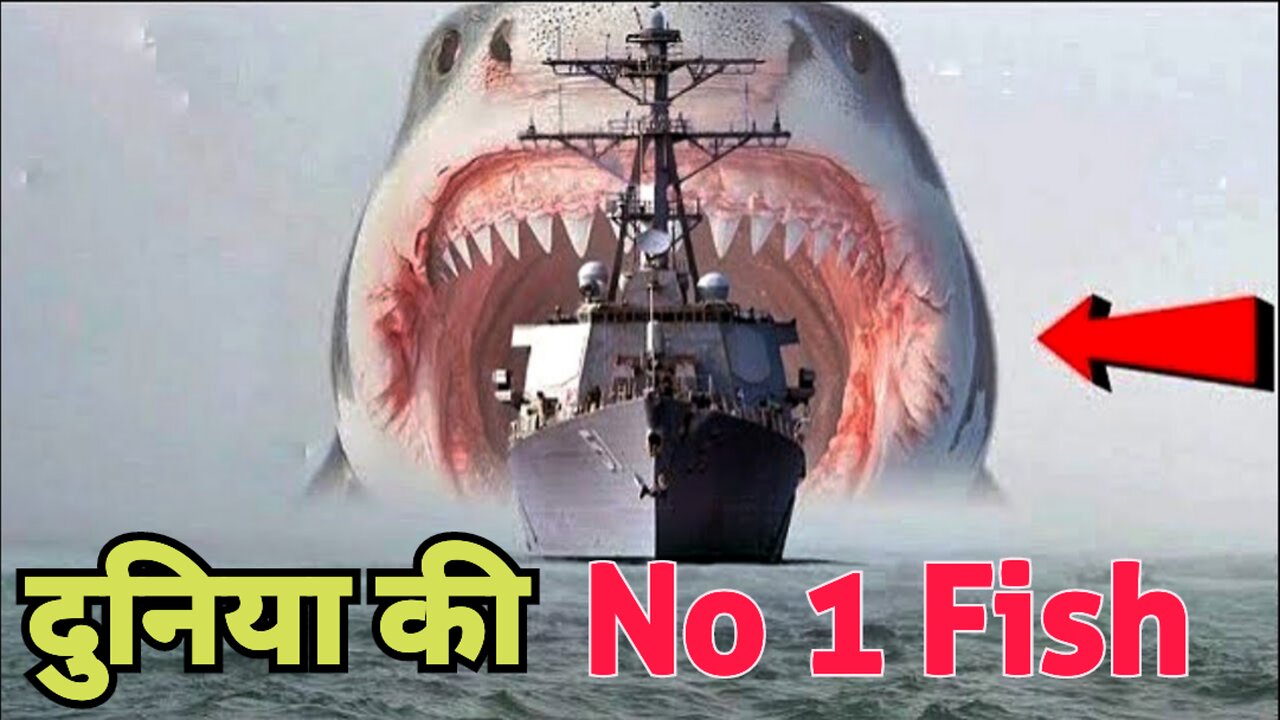 समंदर की 5 सबसे बड़ी मछली | 5 Biggest Ocean Fish