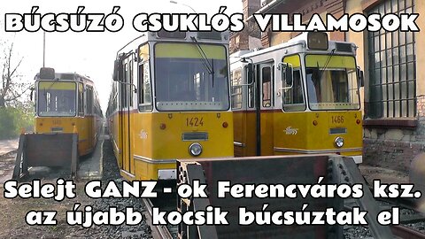 2014.11.01. Selejtezett és leállított GANZ-csuklósok és Mukik, avagy Ferencváros kocsiszín titkai.