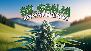 DR. GANJA KEEPS YA MELLOWZ