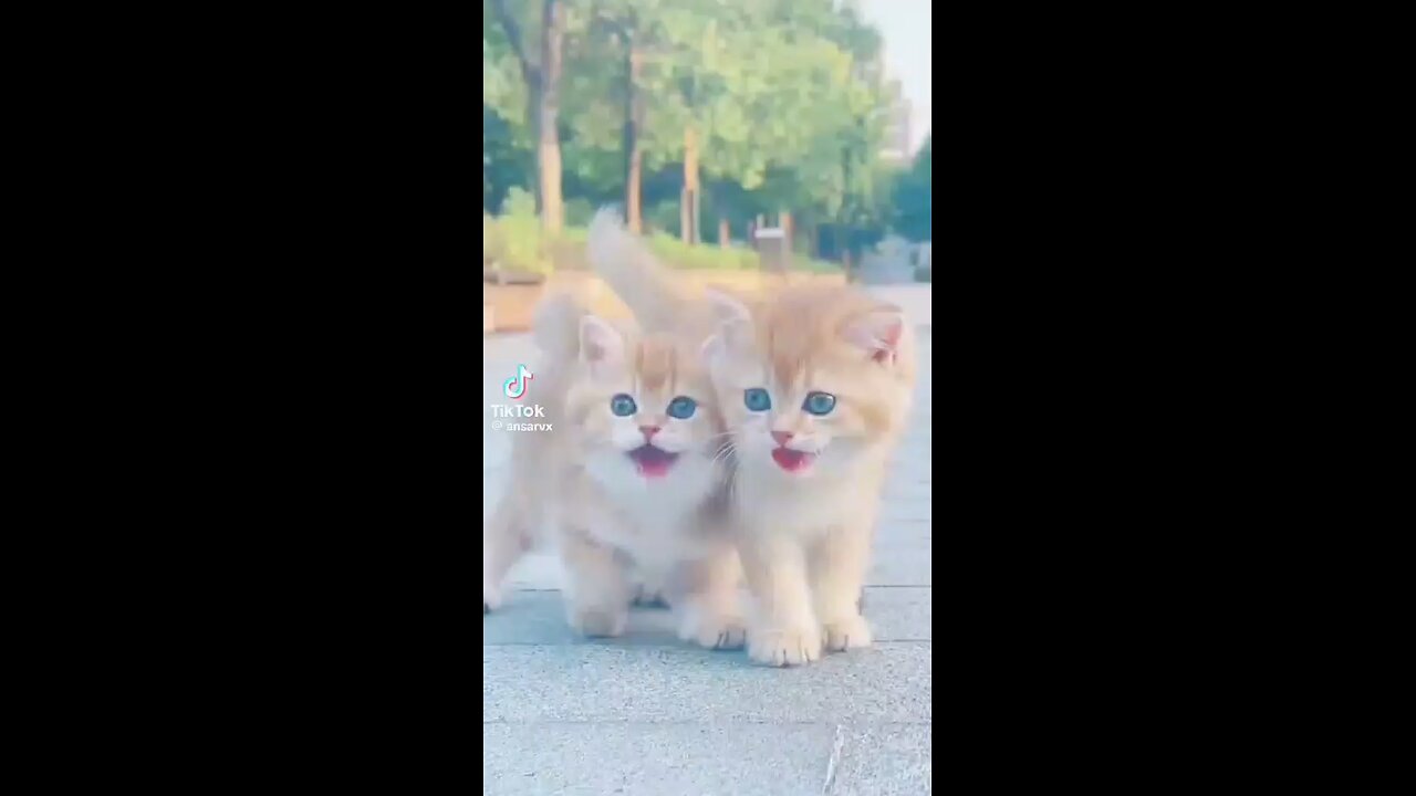 😇