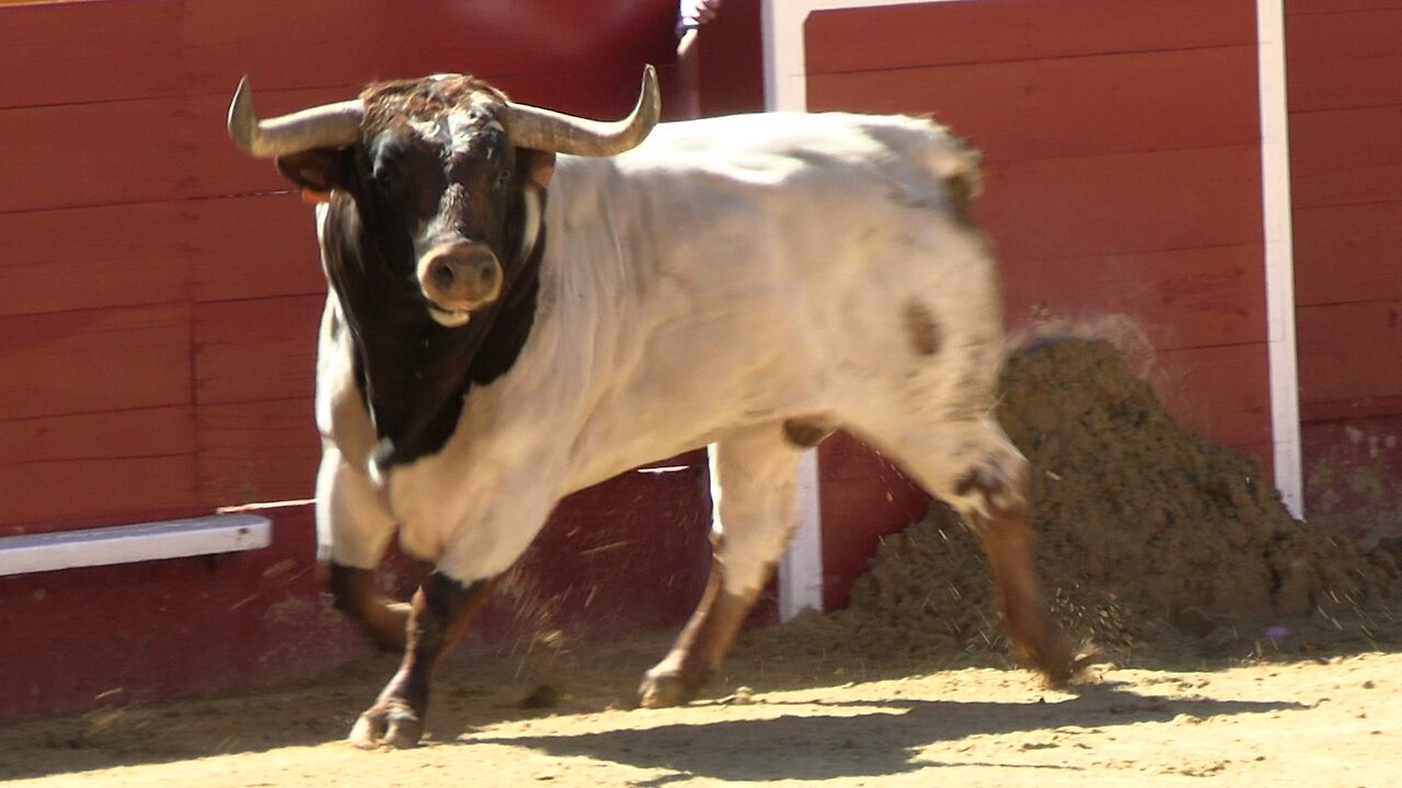 2025 03 15 VALENCIA RECORTES