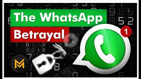 Live-How WhatsApp Makes Money- The INSANE Stor