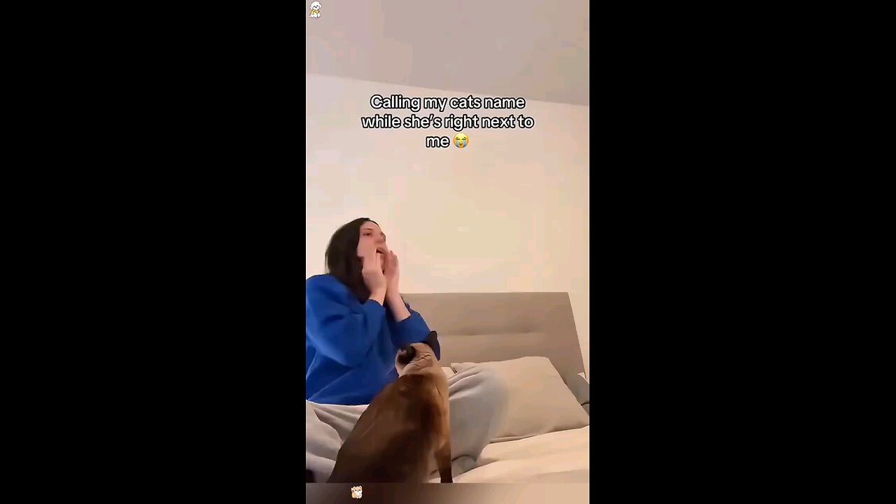 Pretending that i can't see her 😂😂🤣😹