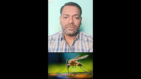 प्लेटलेट्स कम होने पर ये जांच कराएं ।