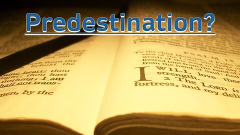Predestination - EP19