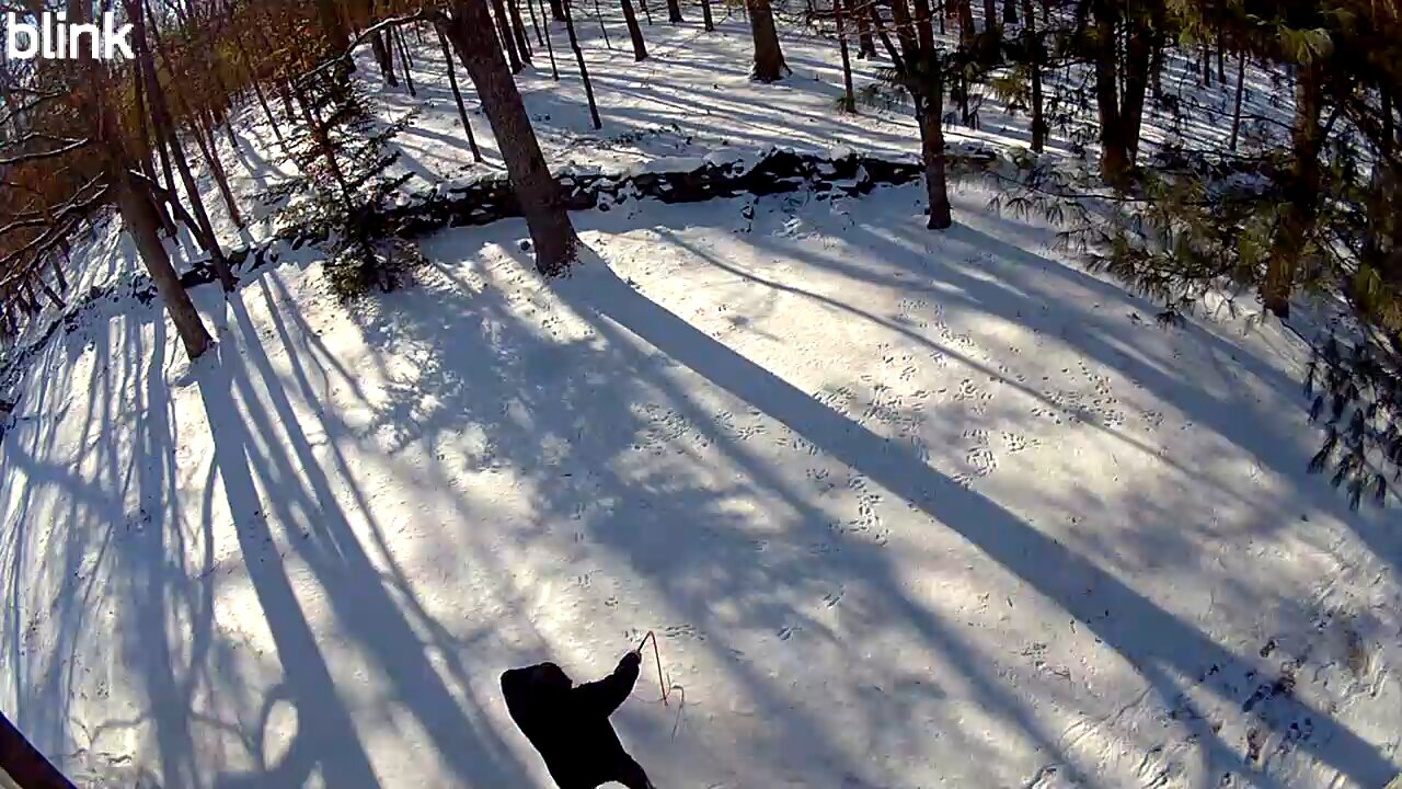 whipping in the snow