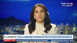 NI Tulsi Gabbard: 'Today Marks First Step to Root Out Deep State Actors'