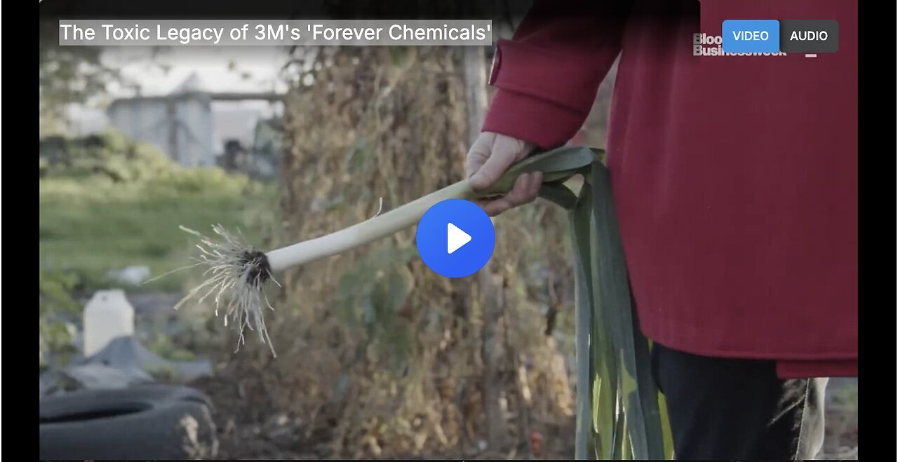 "3M's 'Forever Chemicals': A Toxic Legacy"