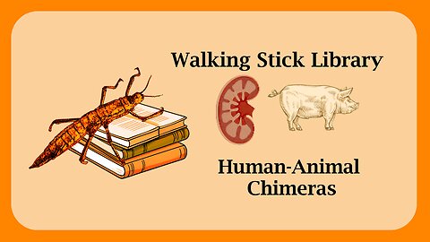 Human-Animal Chimeras