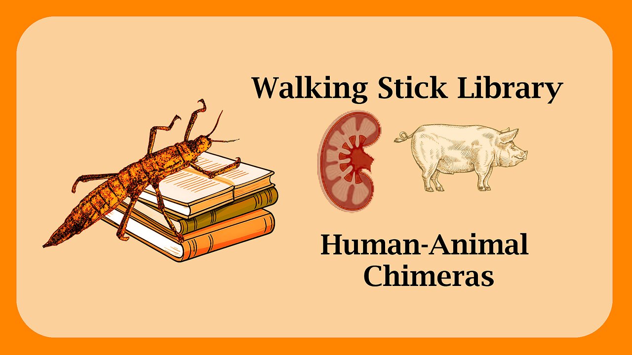 Human-Animal Chimeras