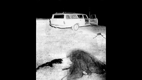 Gladio killings always use back-up snipers. (always)