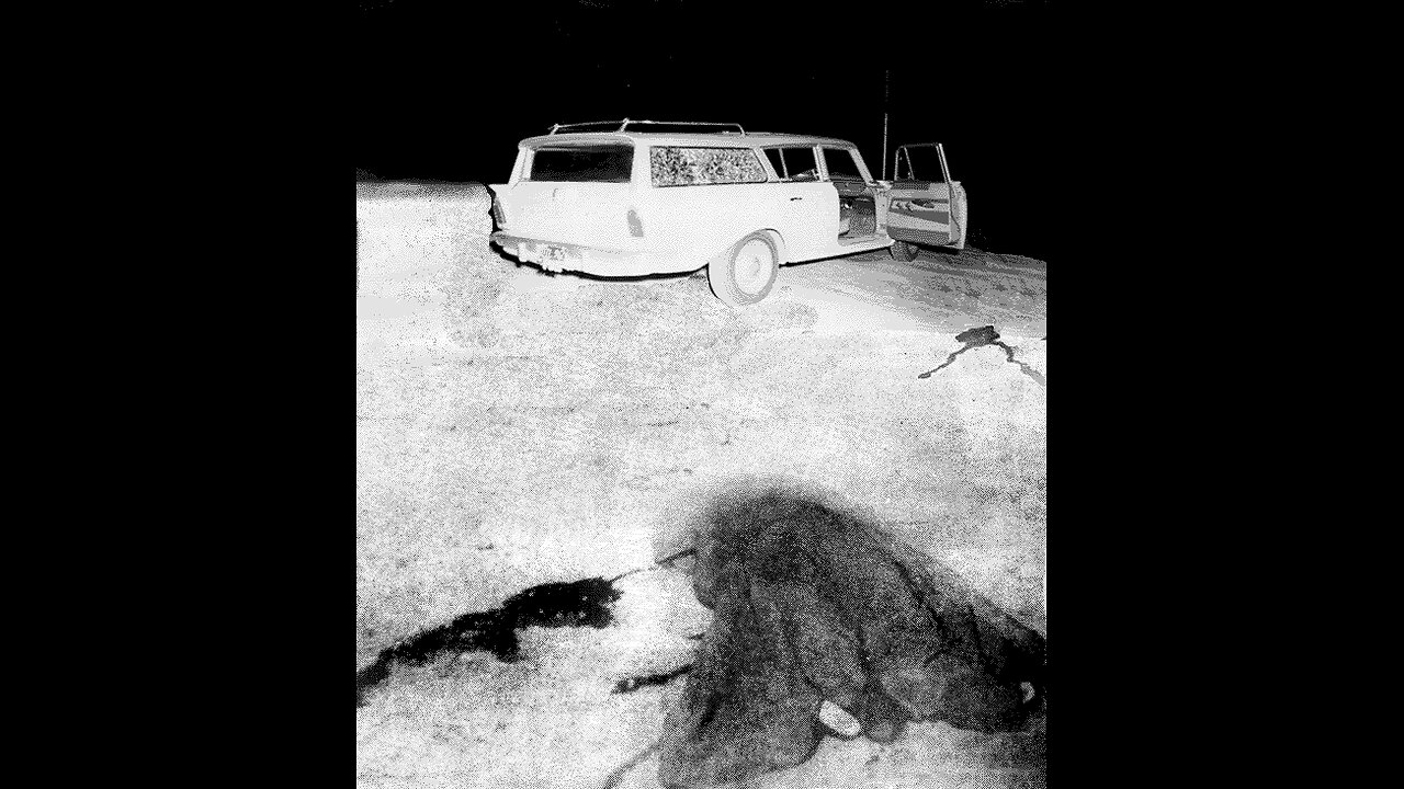 Gladio killings always use back-up snipers. (always)