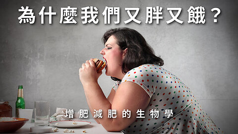 為什麼我們又胖又餓？增肥減肥的生物學