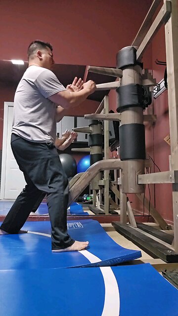 WTD Wooden Dummy Combination 3