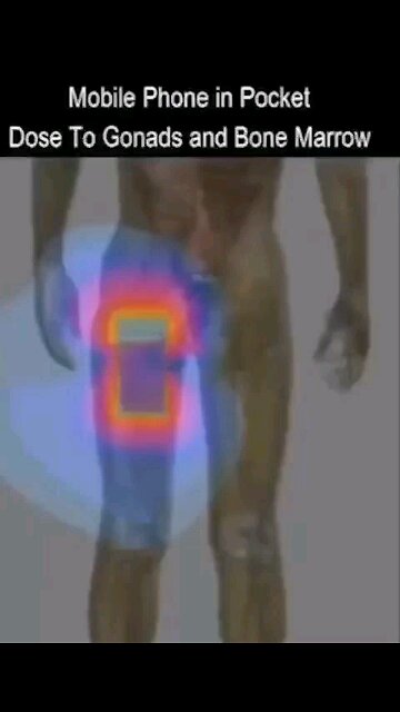 Cellphone In Your Pocket... Danger