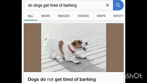 do dogs get tired of barking