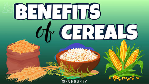 Power Up with Cereals: Nutrition and Benefits Explained