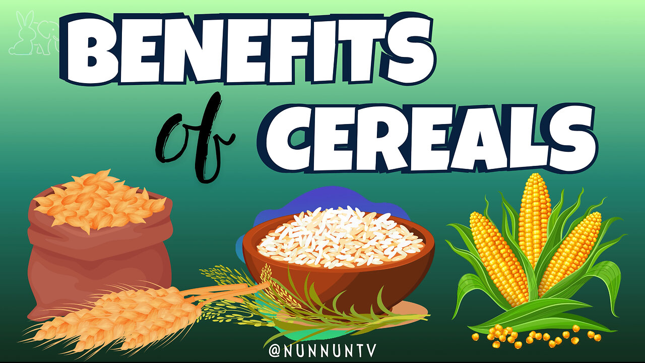 Power Up with Cereals: Nutrition and Benefits Explained