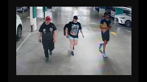 Port Moody Police Seek Suspects - www.tricitylocalnews.com