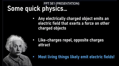 The State of Science European Parliament Workshop 19 Apr 2023 (Electromagnetic-Hyper-Sensitivity)