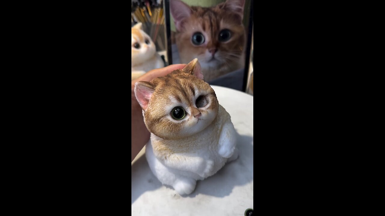cat as soft as a marshmallow.#squishy #diy #cat #handmade #cute #kitty #art #puppy #dog