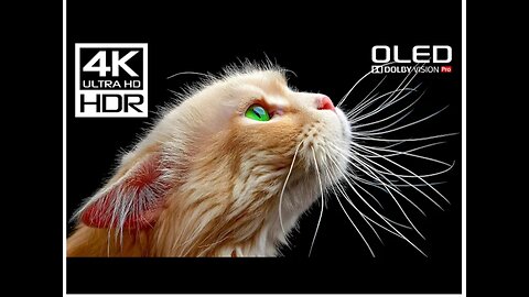 Stunning 4K Videos | Dolby Vision HDR 4K 60FPS Videos