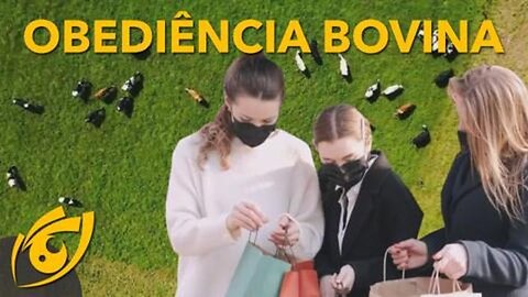 Efeito manada, a maior arma que o estado usa contra a sociedade | CL - 28/09/20 | ANCAPSU