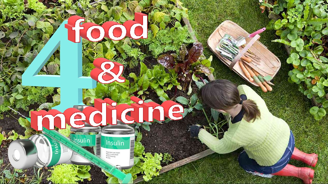 FOOD & MEDICINE 4