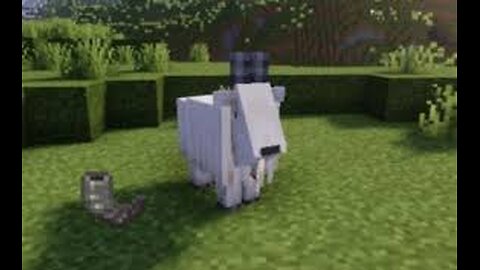 I Bred Too Many GOATS In Minecraft Misadventures SMP00