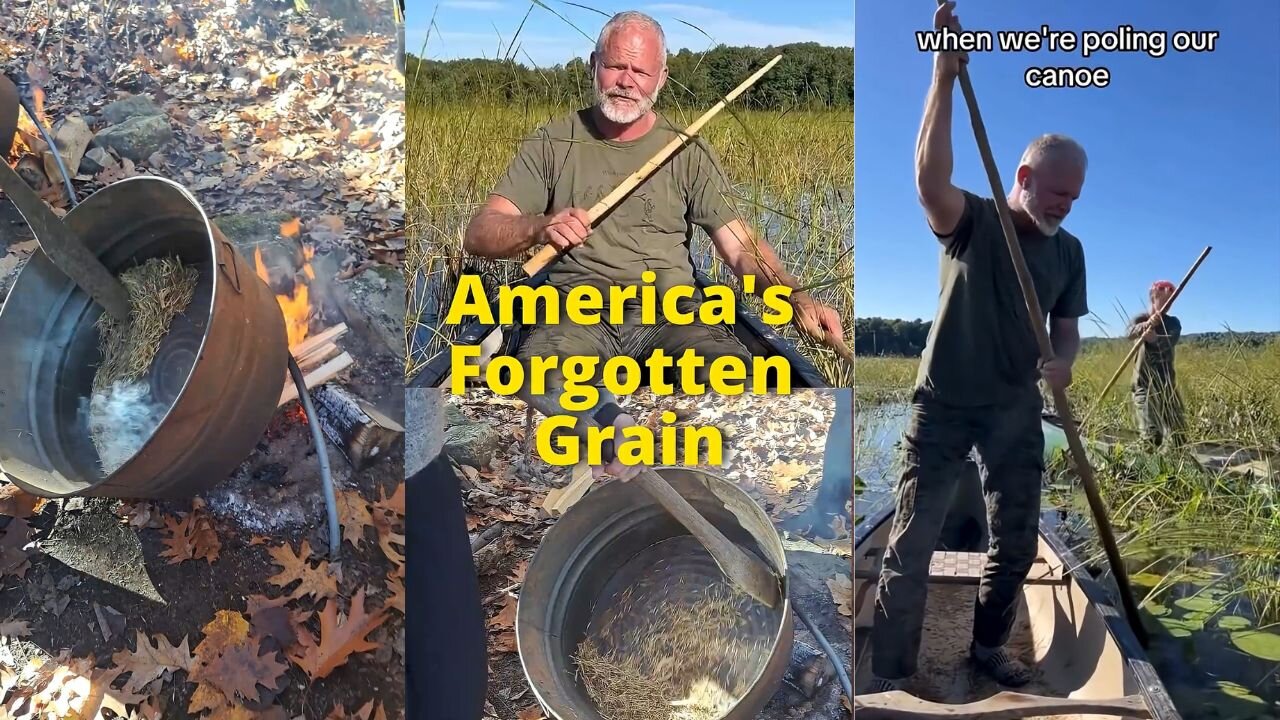 America's Forgotten Grain- Wild Rice