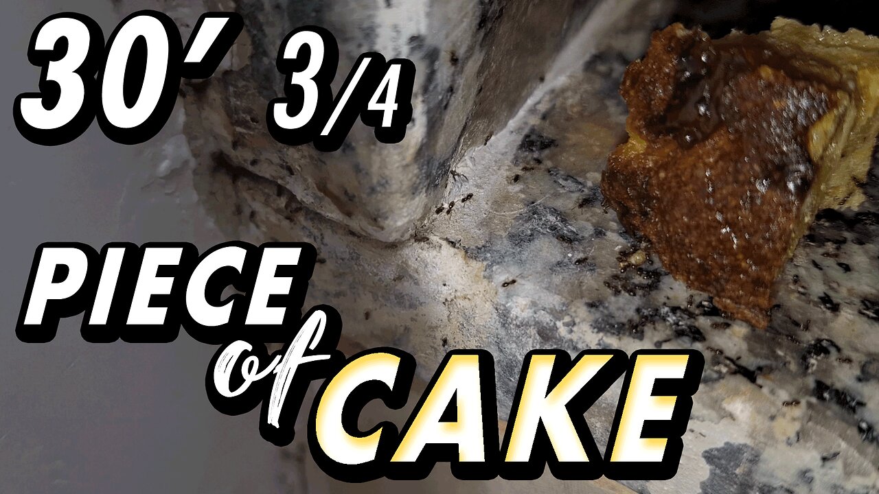 ASMR | You forgot some food on the way? Chill. The soldiers have it covered - 30' 3/4
