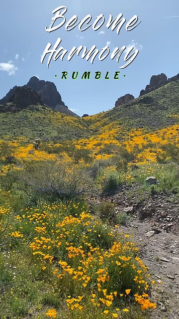 Rumble Introduces Become Harmony!