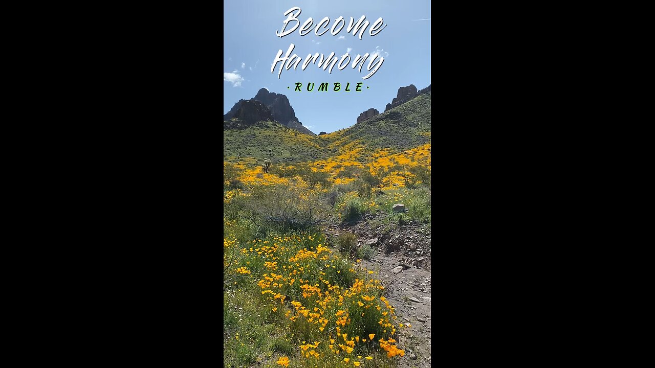 Rumble Introduces Become Harmony!