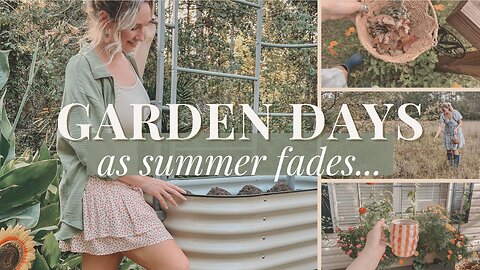 As Summer Fades | Gardening Days Before the ‘Ber Months Begin