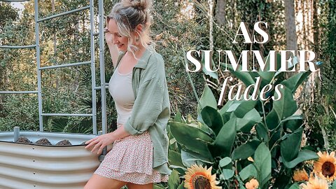 As Summer Fades | Gardening Days Before the ‘Ber Months Begin