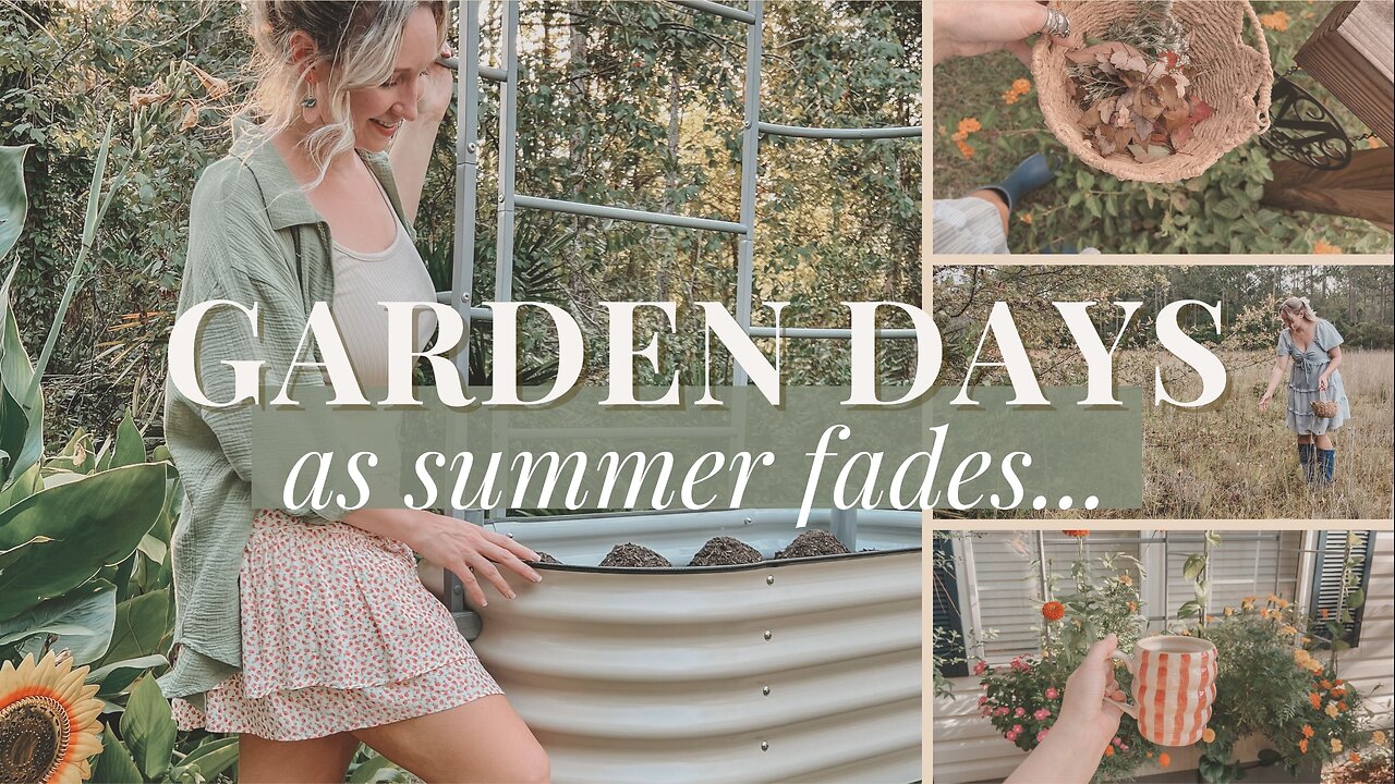 As Summer Fades | Gardening Days Before the ‘Ber Months Begin