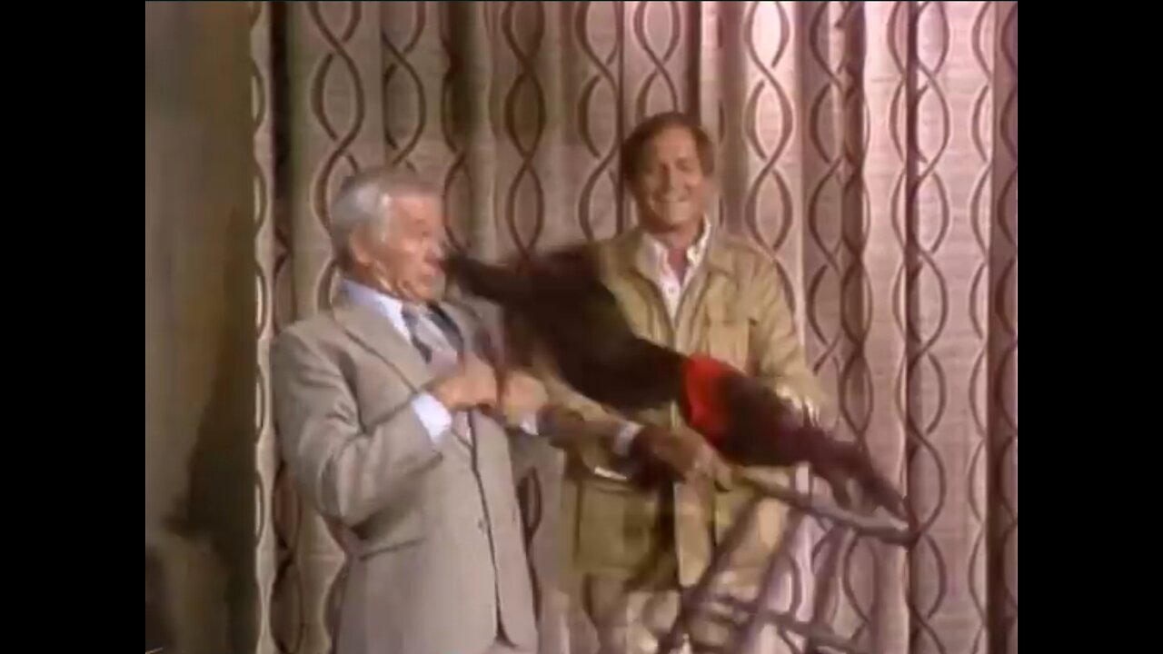 Monkey attacks Johnny Carson #tonightshow #johnnycarson