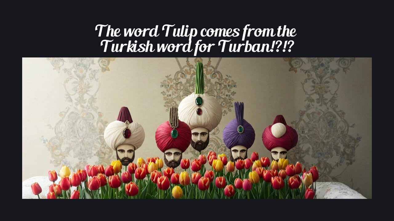 Fun Fact for May 3rd 2025 Pt 1